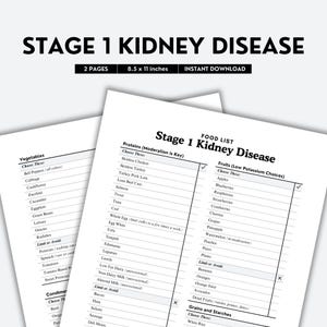Stage 1 Kidney Disease, Kidney Disease Diet, Renal Diet, Kidney Food List, Kidney Friendly Food, Food List, Chronic Illness Grocery List PDF