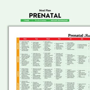 Prenatale Ernährung, Gesunde Schwangerschaft, Fruchtbarkeit Ernährung, Gestationsdiabetes, Schwangerschaft Essen, Essensplanung PDF Datei
