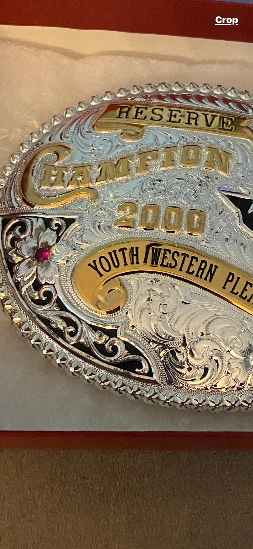 Vintage 2000 “reserve” Champion “NETPHC” “youth Western Pleasure