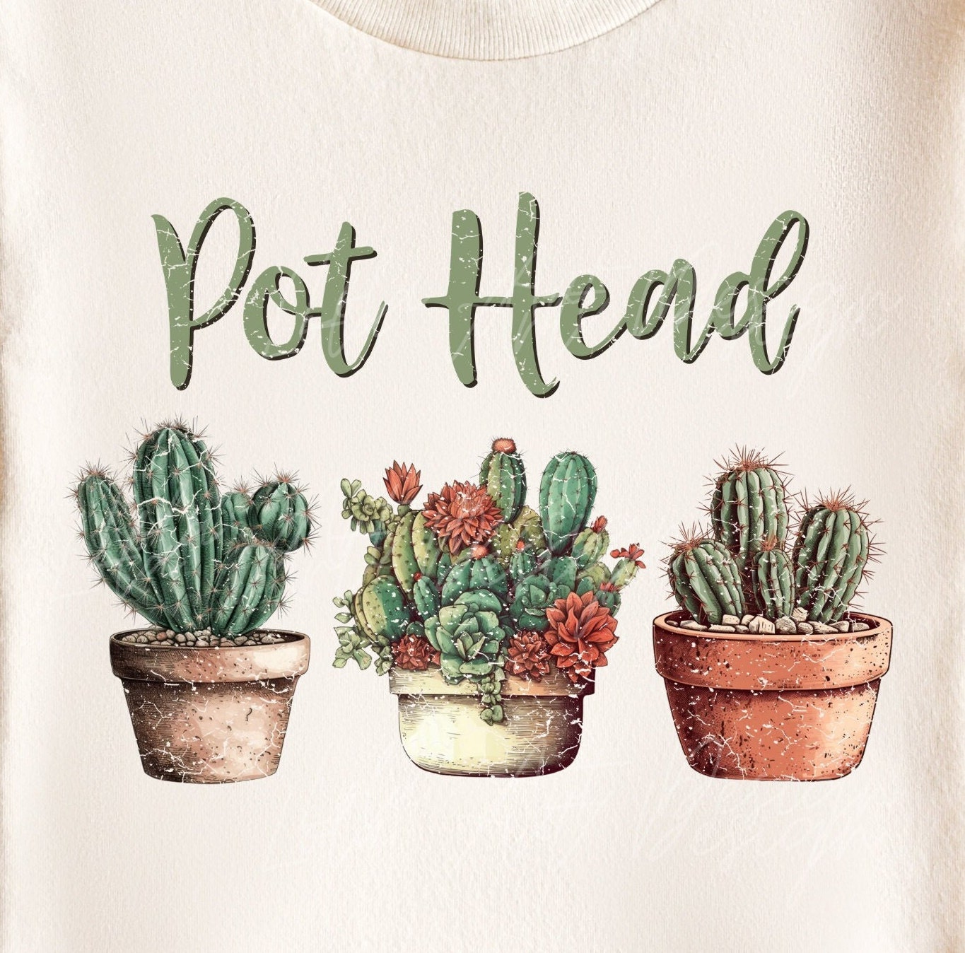 cactus and plant pots 9357097 PNG