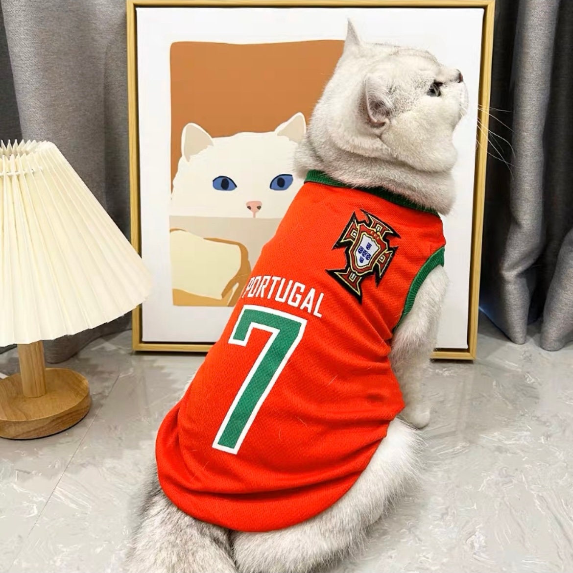 Cute Pet Football Jersey, Pet Soccer Jersey, Dog Cat Soccer, Dog