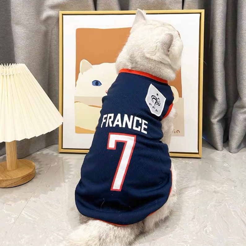 Cute Pet Football Jersey, Pet Soccer Jersey, Dog Cat Soccer, Dog