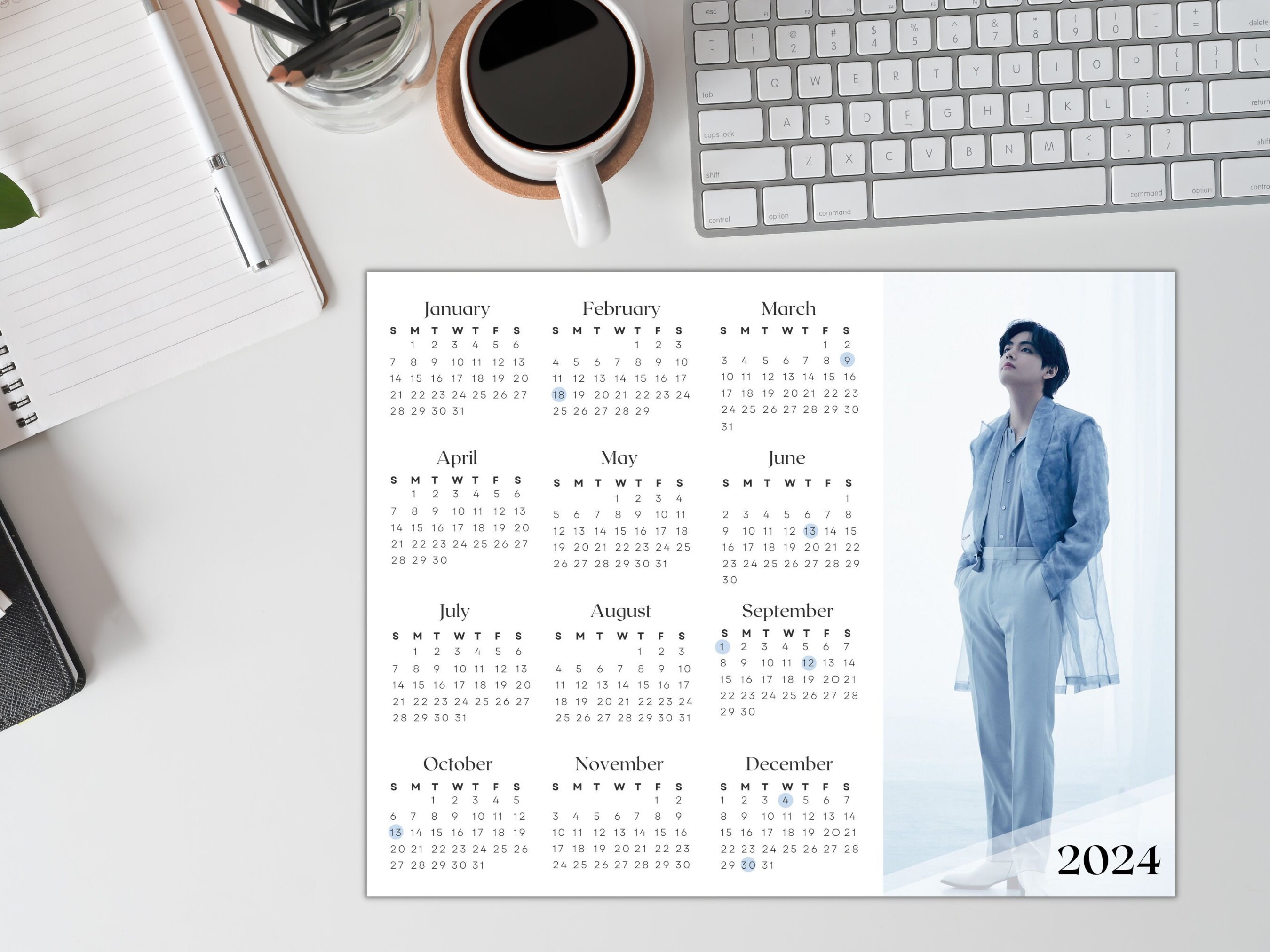 BTS Taehyung 2025 Calendar, Year at a Glance, 11x8.5 PDF, JPG