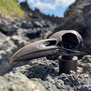 Hand Made Solid Bronze Crow Skull Gear Shifter Knob