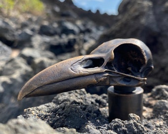 Hand Made Solid Bronze Crow Skull Gear Shifter Knob