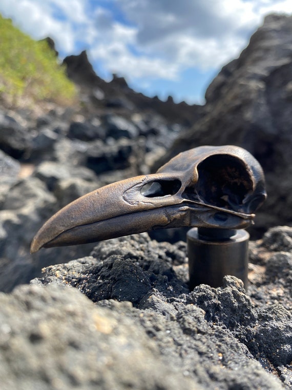 Hand Made Solid Bronze Crow Skull Gear Shifter Knob