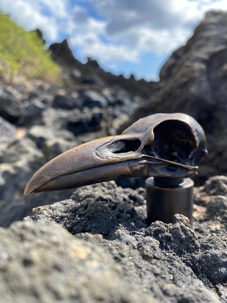 Puede incluir: Una escultura de cr&aacute;neo de p&aacute;jaro de bronce con un pico y cuencas de los ojos detallados. La escultura est&aacute; montada sobre una base de metal negro y se encuentra sobre un lecho de rocas grises oscuras.