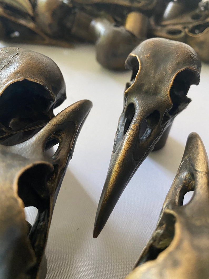Puede incluir: Una colecci&oacute;n de peque&ntilde;os cr&aacute;neos de p&aacute;jaros de bronce detallados. Los cr&aacute;neos est&aacute;n dispuestos sobre una superficie blanca.