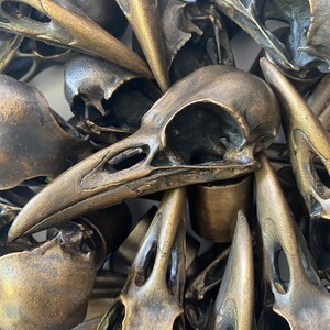 Puede incluir: Una colecci&oacute;n de peque&ntilde;as esculturas de cr&aacute;neos de p&aacute;jaros de bronce detalladas. Los cr&aacute;neos est&aacute;n dispuestos en una pila, con algunos de los cr&aacute;neos superpuestos. Los cr&aacute;neos est&aacute;n todos orientados en la misma direcci&oacute;n, con sus picos apuntando hacia el espectador.