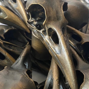 Puede incluir: Primer plano de un grupo de cr&aacute;neos de p&aacute;jaros de bronce. Los cr&aacute;neos est&aacute;n dispuestos en un patr&oacute;n circular, con el pico de un cr&aacute;neo apuntando hacia el centro del c&iacute;rculo. Los cr&aacute;neos son detallados y realistas, con una estructura &oacute;sea visible y cuencas de los ojos.