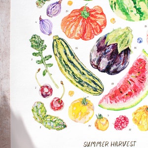 A close up of the Summer harvest fruit and vegetable print on a sunlit wooden table. Highlighting the 200g paper texture, and details of the watercolour illustrations, including basil, shallots, cherries, tomatoes, watermelon, aubergine and lime.