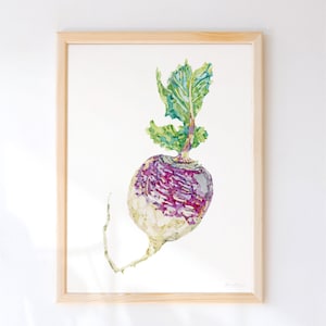 Handbemalter Turnip Art Print - Moderne Aquarell-Illustration für Lebensmittel, gedruckt mit Öko-Tinten auf nachhaltig bezogenem Papier
