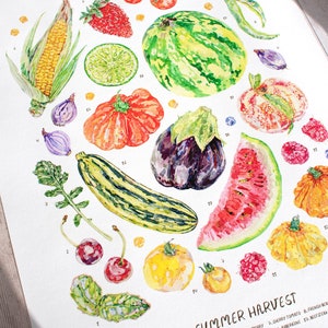 A close up of the Summer harvest fruit and vegetable print on a sunlit wooden table. Highlighting the 200g paper texture, and details of the watercolour illustrations, including basil herb, cherries, tomatoes, watermelon, zucchini, eggplant and lime.