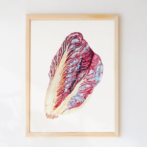 Radicchio Art Print: Hand Painted Watercolor Food Illustration