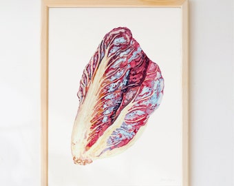 Hand Painted Radicchio Art Print - Modern Watercolour food illustration printed with eco inks on sustainably sourced paper