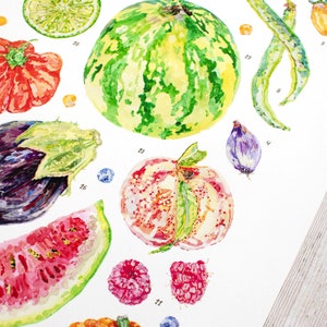 A close up of the Summer harvest fruit and vegetable print showing details of the watercolour illustrations, including watermelon, blueberries, pattypan squash, french beans, yellow pear tomatoes, lime, peach and raspberries.