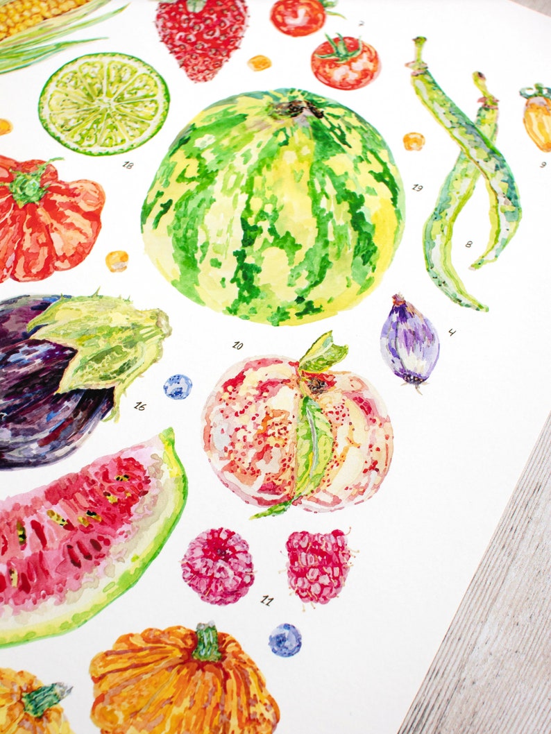 A close up of the Summer harvest fruit and vegetable print showing details of the watercolour illustrations, including watermelon, blueberries, pattypan squash, french beans, yellow pear tomatoes, lime, peach and raspberries.