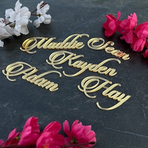 Cartes de visite pour mariage, Marque-places, Plaque nominative découpée au laser, Marque-places pour mariage, Cartes de réception, Marque-places de table, Couverts de table, Cartes en acrylique