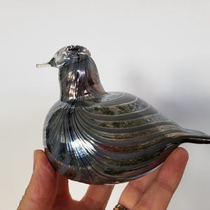 Oiva Toikka Gold Grey Pikkualli Northern Duck Glass Bird Lustre Stripes Clear Head Signed Free Shipping Worldwide