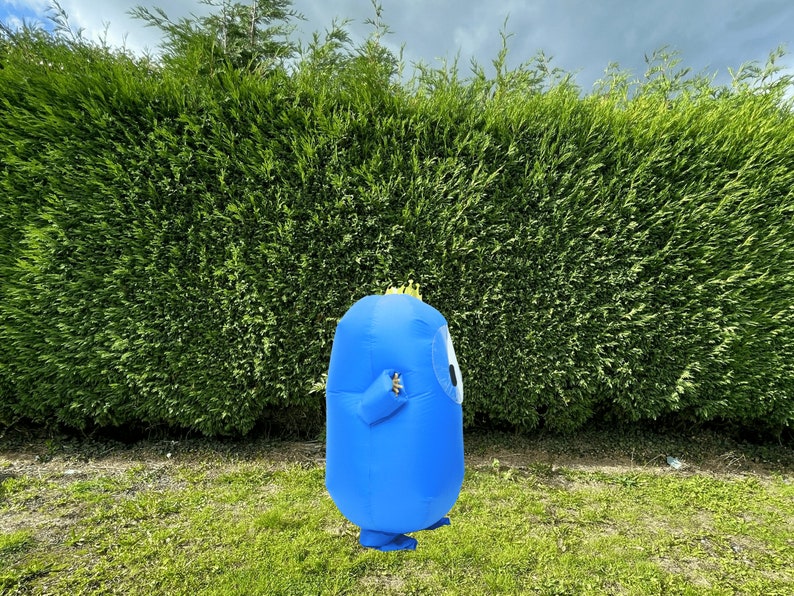 Fall Guys Halloween Costume
 Fall Guys Inflatable Costume Halloween Outfit Party Kids Etsy Australia