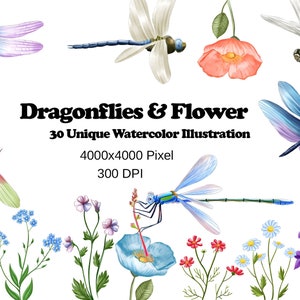 Dragonfly PNG Clipart, Flowers Png Watercolor Pretty Transparent Png Decoration Craft Cards Print Decal Stickers Insects Mugs Wall Art Gift