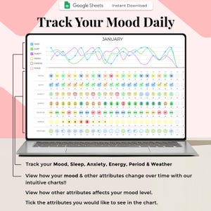 Hoja de cálculo digital para el seguimiento del estado de ánimo, plantilla de Hojas de cálculo de Google, seguimiento diario del estado de ánimo, diario del estado de ánimo, gráfico del estado de ánimo, seguimiento de sentimientos y emociones, registro del estado de ánimo imagen 3