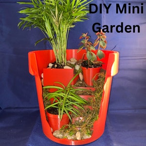 May include: A red DIY mini garden planter with four different plants. The planter has a unique design with multiple compartments for different plants. The plants include a palm, a succulent, and two other types of greenery. The planter is filled with small stones and moss.