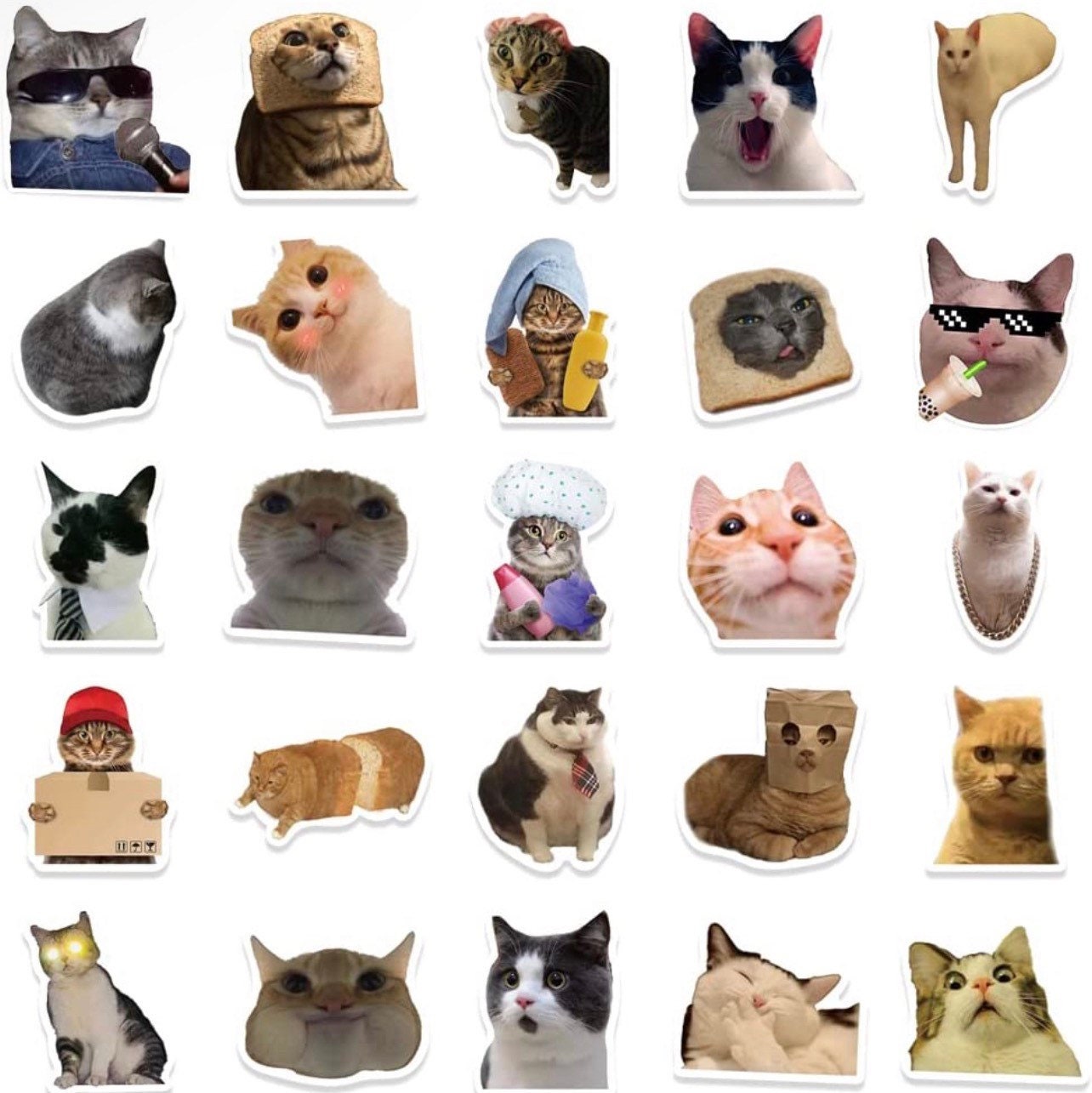 Funny Cat Meme Stickers: Waterproof Vinyl Decals for Laptop, Hydroflask ...