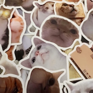 Cat Memes Stickers | High Quality Stickers | Vinyl Waterproof | Decals for Laptops, Skateboards, Hydro flasks | Surprise Sticker Packs