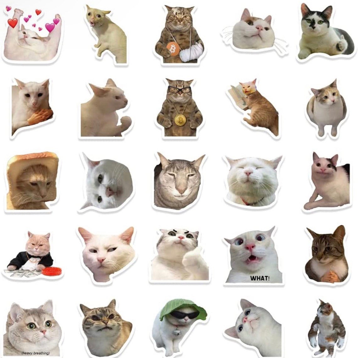 Funny Cat Meme Stickers: Waterproof Vinyl Decals for Laptop, Hydroflask ...