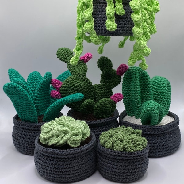 Set van 6 gehaakte plantjes. Gehaakt knuffeltje. Amigurumi-speelgoed. Zacht speelgoed.