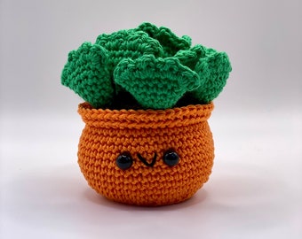 Succulent “Carrota” - Crochet plants. Crocheted cuddly toy. Amigurumi Toys. Soft toy