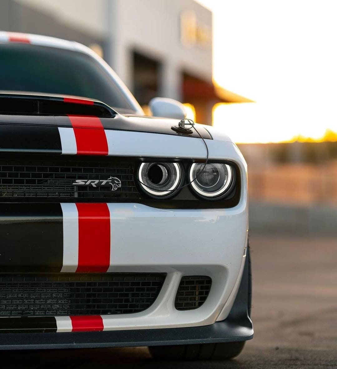 ダッジ チャレンジャー フルボディ デカール：トリミングなし