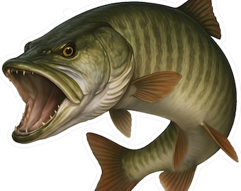 Vinylsticker Musky Muskie Fish: cadeau vissenliefhebber, outdooravontuur
