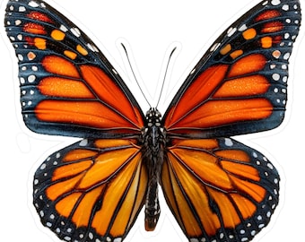 Monarch Butterflies Bumper Sticker - 5" Outdoor Vinyl Decal | Weatherproof 6mil Thick | Made In USA