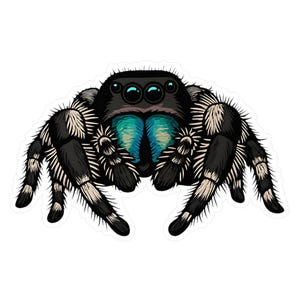 Jumping Spider Vinyl Decal: Laptop, Car, and Halloween Decor