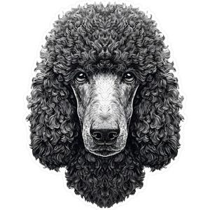 Poodle Dog Vinyl Decal Sticker - Cute Kiss-Cut Vinyl Decals for Laptop, Car, Water Bottle, Scrapbook, and DIY Crafts, Dog Lover Gift