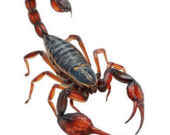 Adesivo in vinile Scorpion: adesivo impermeabile per laptop, adesivo per auto