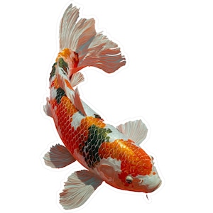 KOI Vinyl Decal, Japanese Koi Fish Sticker, Watercolor Design, Laptop Decal, Car Window Sticker, Aquarium Decoration, Asian Art Decor