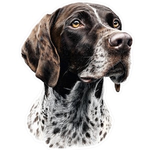 May include: A detailed illustration of a German Shorthaired Pointer dog. The dog has brown and white spotted fur, with a brown head and ears. Its eyes are a warm yellow, and its nose is a dark brown. The dog's expression is alert and focused.