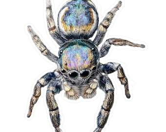 Calcomanía de vinilo de araña saltadora: calcomanía artística única de insectos