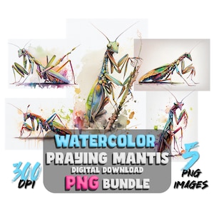 May include: A digital download bundle of five watercolor illustrations of praying mantises. The mantises are depicted in various poses and colors, with a vibrant green, blue, and yellow color scheme. The illustrations are high-resolution, 300 DPI PNG files.