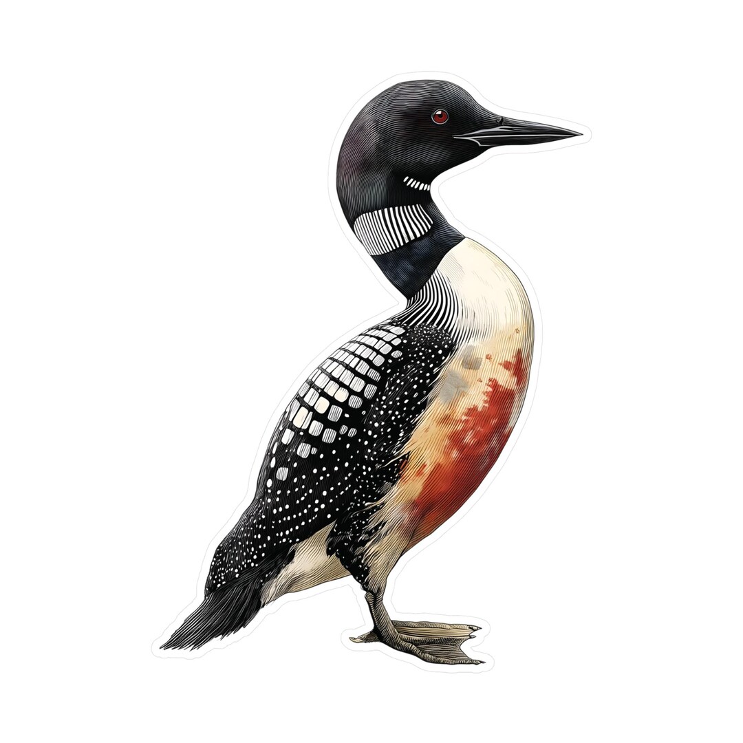 Common Loon Vinyl Sticker: Waterproof Nature Decal - Etsy