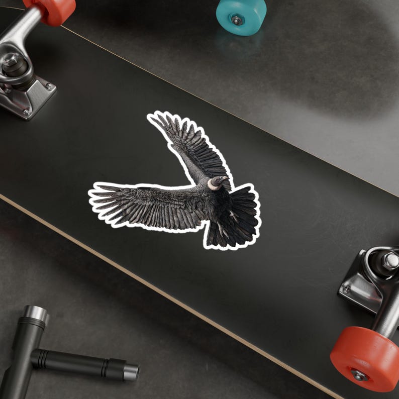 California Condor Kiss-cut Vinyl Decal | Bird Conservation Sticker - Etsy
