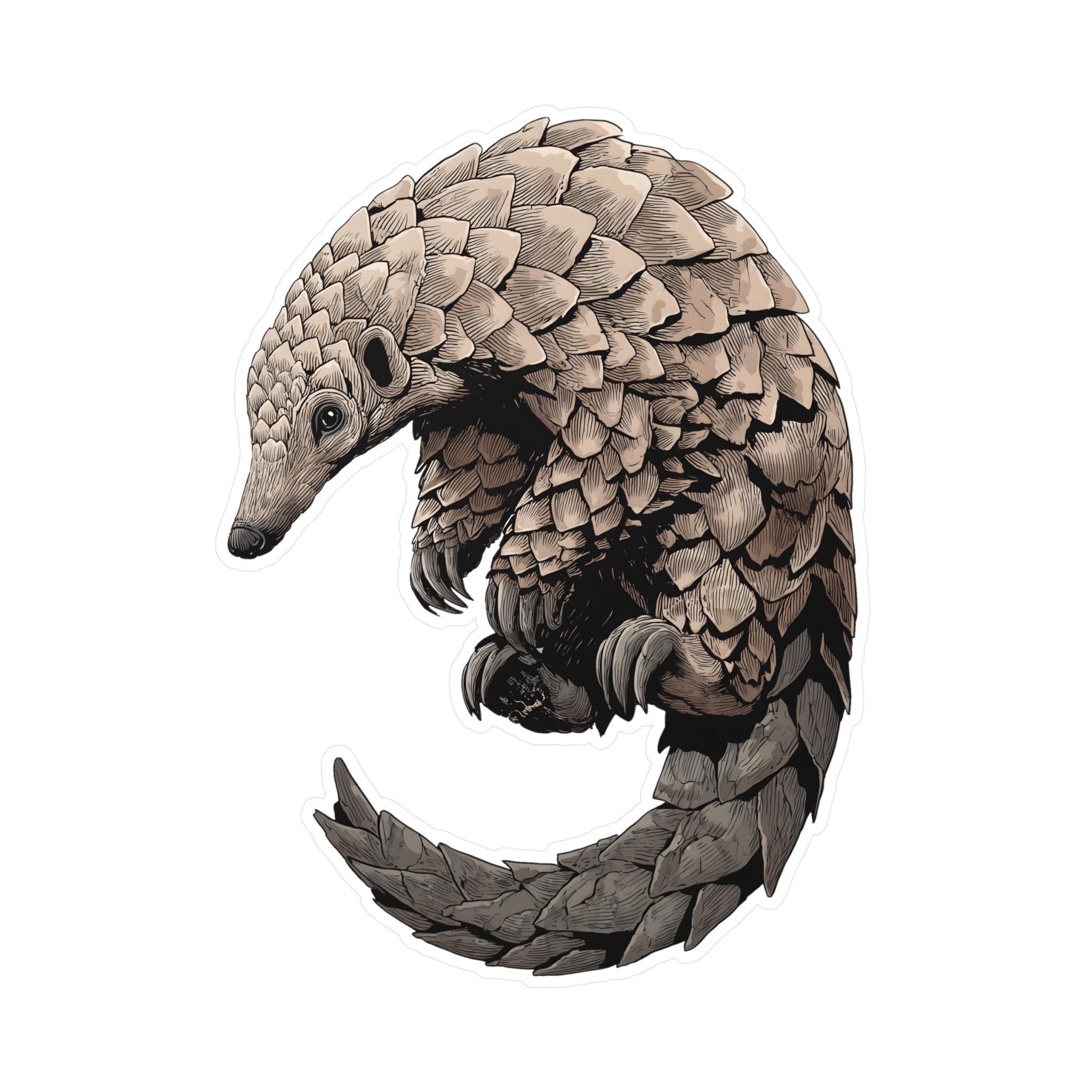 Pangolin Vinyl Decal Sticker - Adorable Animal Design, Laptop Decal, Car Sticker, Water Bottle Decal, Gift for Animal Lovers, Cute Pangolin