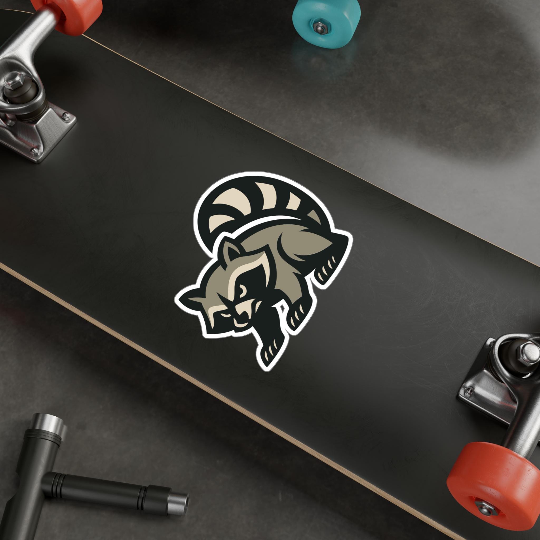 Shoe Rack Raccoon Sticker Raccoon Vinyl Decal, Animal Laptop Sticker - Etsy