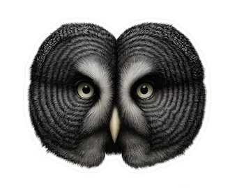 Owl Vinyl Decal: Retro Animal Sticker for Laptop, Car, Journal