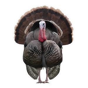 Turkey Vinyl Decal Sticker Hunting, Camo Vinyl Sticker, Outdoor Turkey Hunting Decal, Car Window Decal, Laptop Decal