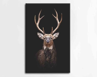 3D Canvas, Canvas Home Decor, Large Canvas, Deer Photography, Farmhouse Canvas Art, Trendy Canvas Art, Animal Photo Wall Decor,