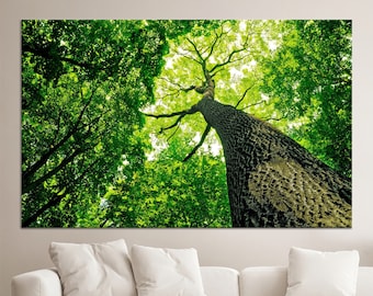 Green Tree Canvas Print: 3D Forest Wall Art